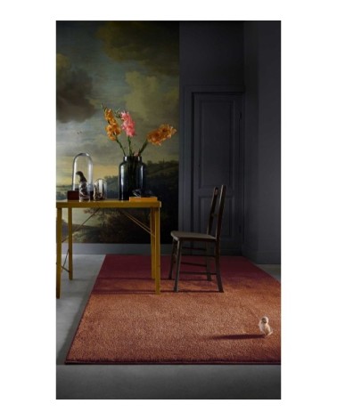 Tapis tissé velours ras brique uni 120x170