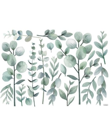 Stickers eucalyptus en Vinyle mat Vert