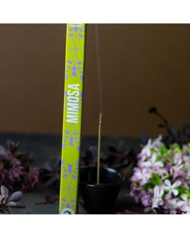 Encens traditionnel mimosa