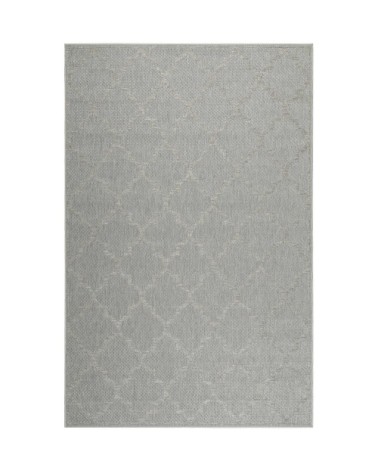 Tapis extérieur gris motif oriental beige pour entrée, jardin 290x200