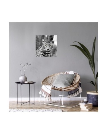 Tableau sur toile léopard de face 65x65cm