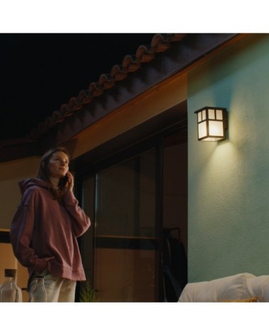 Applique d'extérieur en métal marron