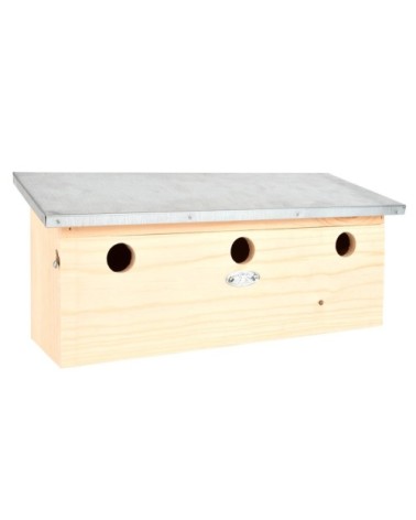 Appartement des moineaux