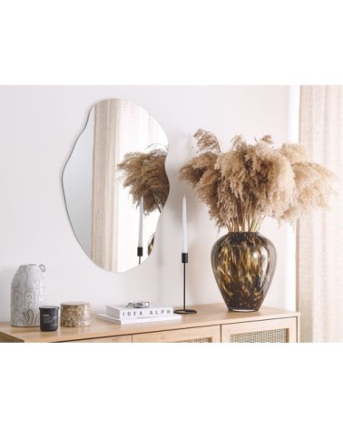 Miroir en verre argenté 70x50