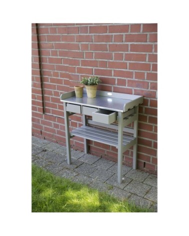 Table de jardinage en pin et zinc gris