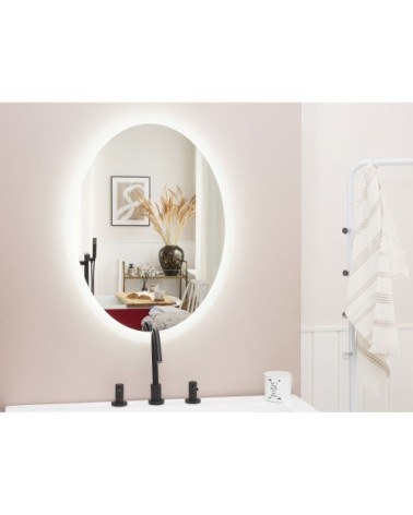 Miroir en verre argenté 80x60