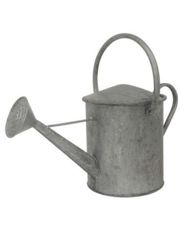 Arrosoir décoratif en zinc lourd 5 litres