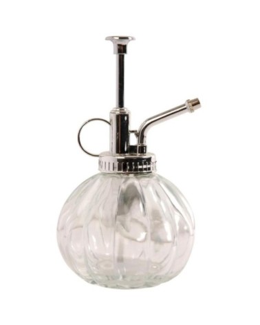 Humidificateur pour plantes en verre transparent