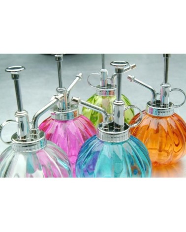 Humidificateur pour plantes en verre transparent