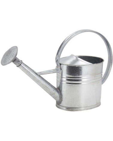Arrosoir en zinc 10 litres