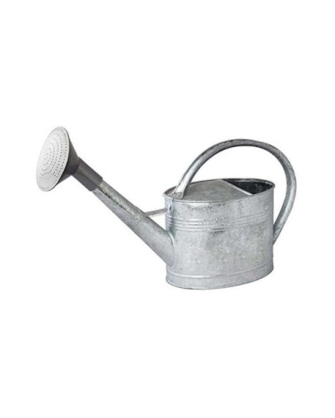 Arrosoir acier galvanisé avec pomme 6 litres