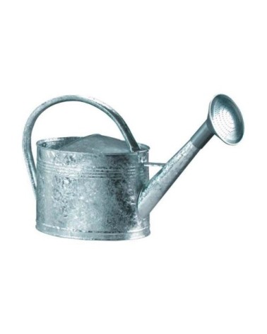 Arrosoir acier galvanisé avec pomme 6 litres