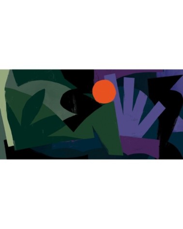 Papier peint panoramique cercle vaillant nuit 425 x 250