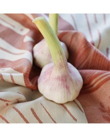 Torchon coton Terracotta 50x70 cm