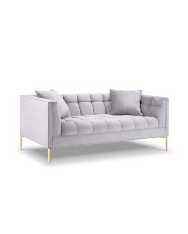 Canapé velours argent 2 places