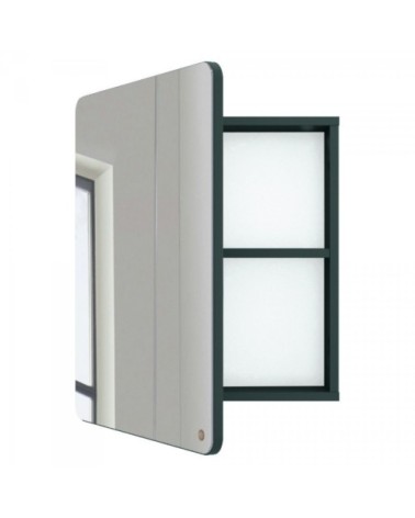 Miroir de salle de bain avec placard en bois vert