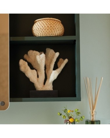 Miroir de salle de bain avec placard en bois vert