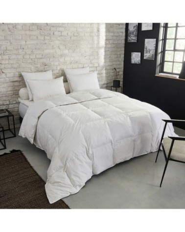 Couette Premium Naturelle Tempérée - 30% duvet 140x200 cm - DUNLOPILLO