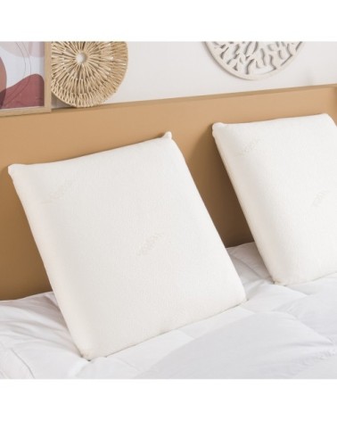 Oreiller Visco Nature 60x60 cm - DUNLOPILLO