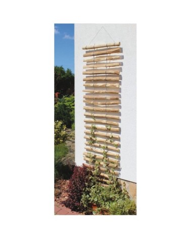 Support mural en noisetier