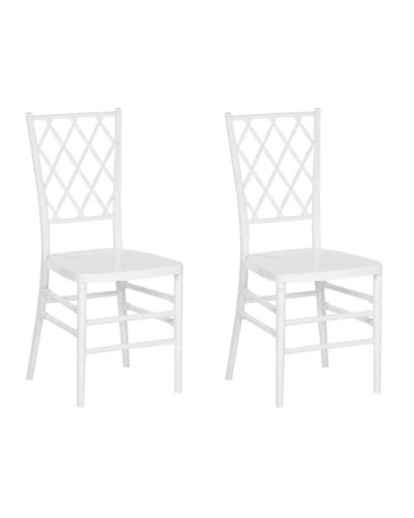 Lot 2 chaises blanches