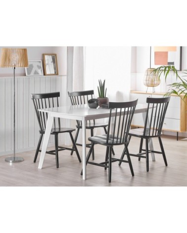 Lot de 2 chaises de salle à manger en bois noir