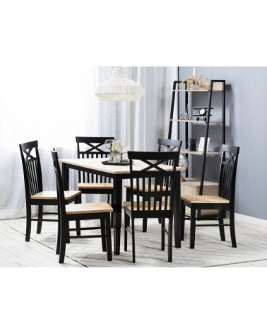 Lot de 2 chaises noires et marron