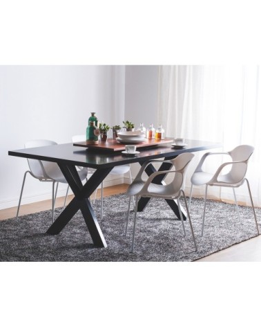 Lot de 2 chaises blanches