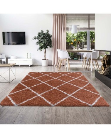 Tapis de style géométrique terracotta et blanc 200x290cm