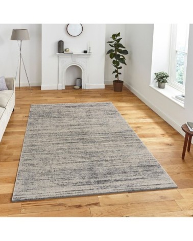 Tapis d'inspiration minimal beige 120x170cm