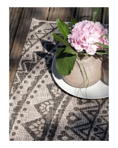 Tapis d'extérieur & intérieur beige/marron 160x230