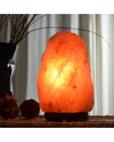 Lampe en cristal de sel d'Himalaya de 4 à 6 kg