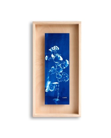 Cadre en bois cyanotype gingko 40x20cm