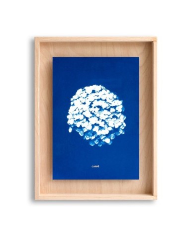 Cadre en bois cyanotype hortensia 40x30cm