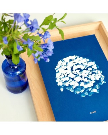 Cadre en bois cyanotype hortensia 40x30cm