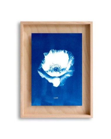 Cadre en bois cyanotype pavot 40x30cm