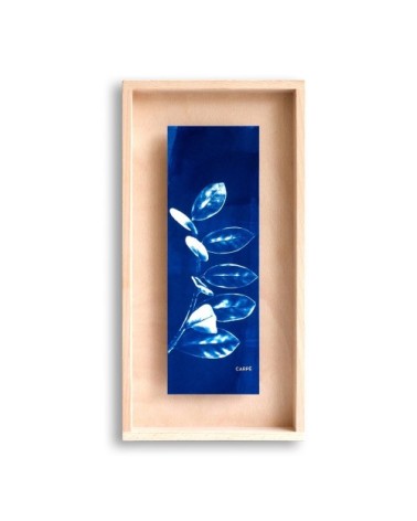 Cadre en bois cyanotype plante 40x20cm