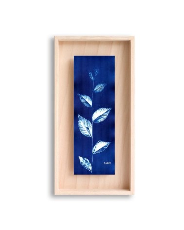 Cadre en bois cyanotype orme 40x20cm