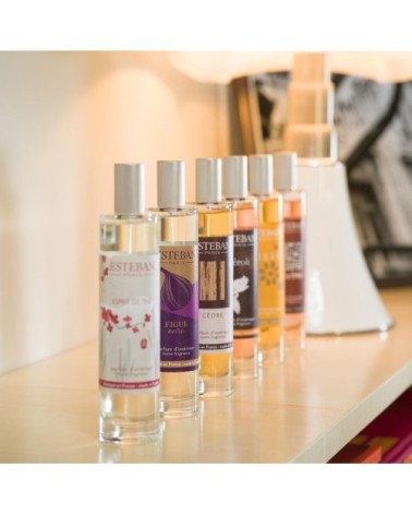 Vaporisateur d'ambiance 75 ml