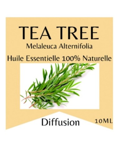 Huile essentielle arbre à thé 10ml