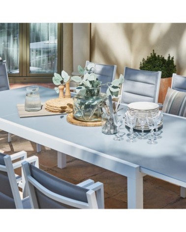 Table de jardin en aluminium gris anthracite 215/135×90 cm