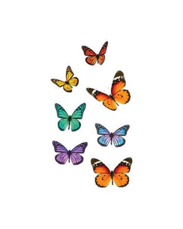 Adhésifs de vitres papillons