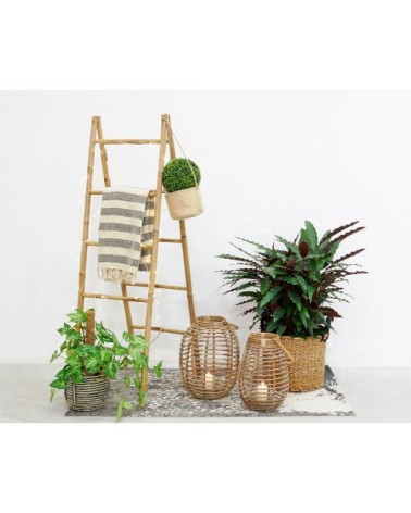 Double échelle en bambou