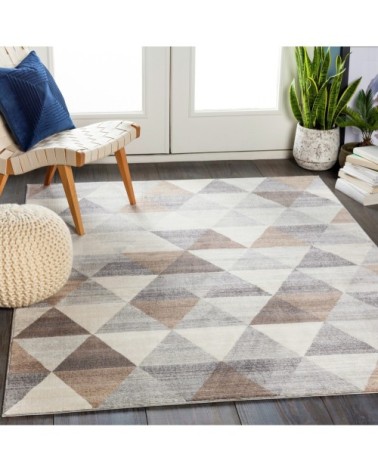 Tapis Scandinave Pop - Blanc Cassé et Marron - 200x275cm