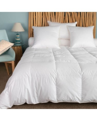 Couette naturelle légère en duvet et coton bio king size 280x240 cm