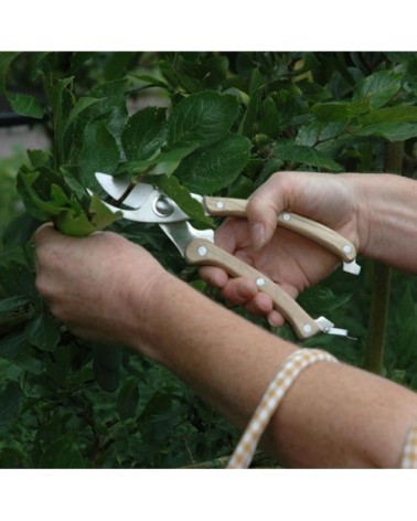 Sécateur en bois et acier inoxydable