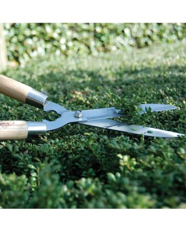 Taille haie en acier et bois