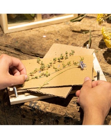 Presse fleurs et herbes
