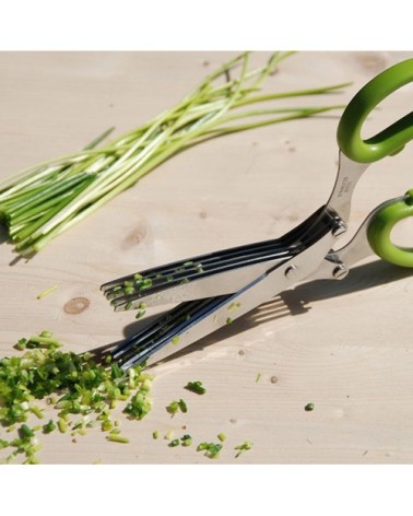 Ciseaux Herbes Aromatiques