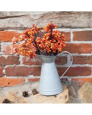 Arrosoir Zinc bec canard